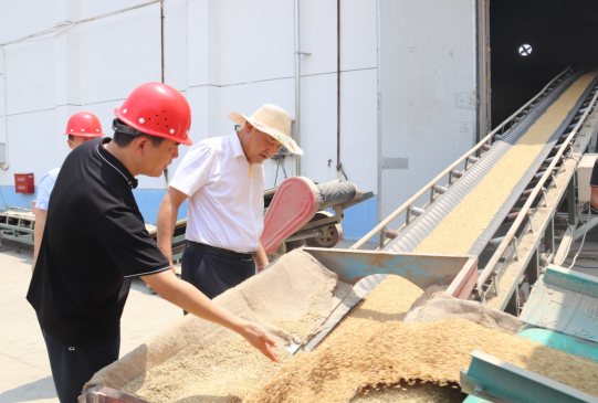 省粮食和物资储备局来常调研督导早稻收购工作
