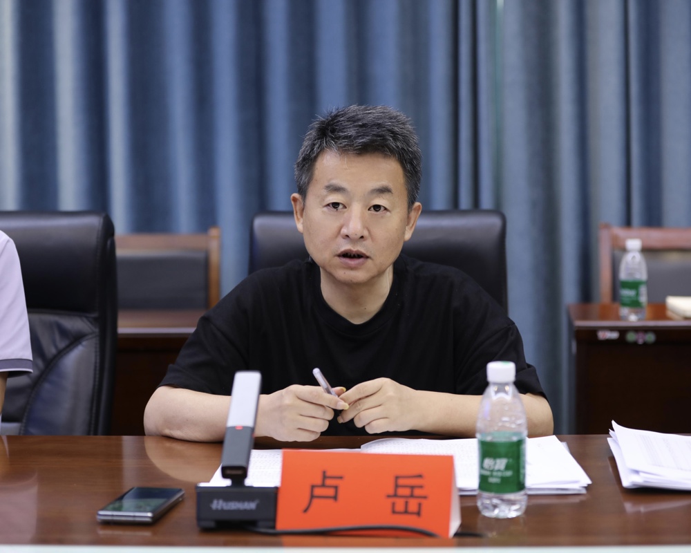 市发展改革委（市国动办）党组书记、主任 卢岳讲话
