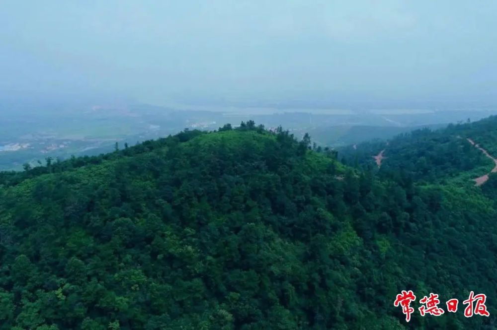 临澧县松材线虫防治项目区域航拍
