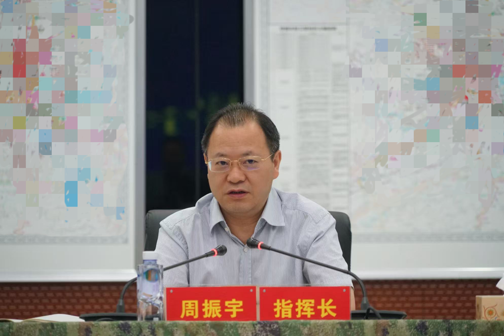 市委副书记、市长、市国动委主任周振宇