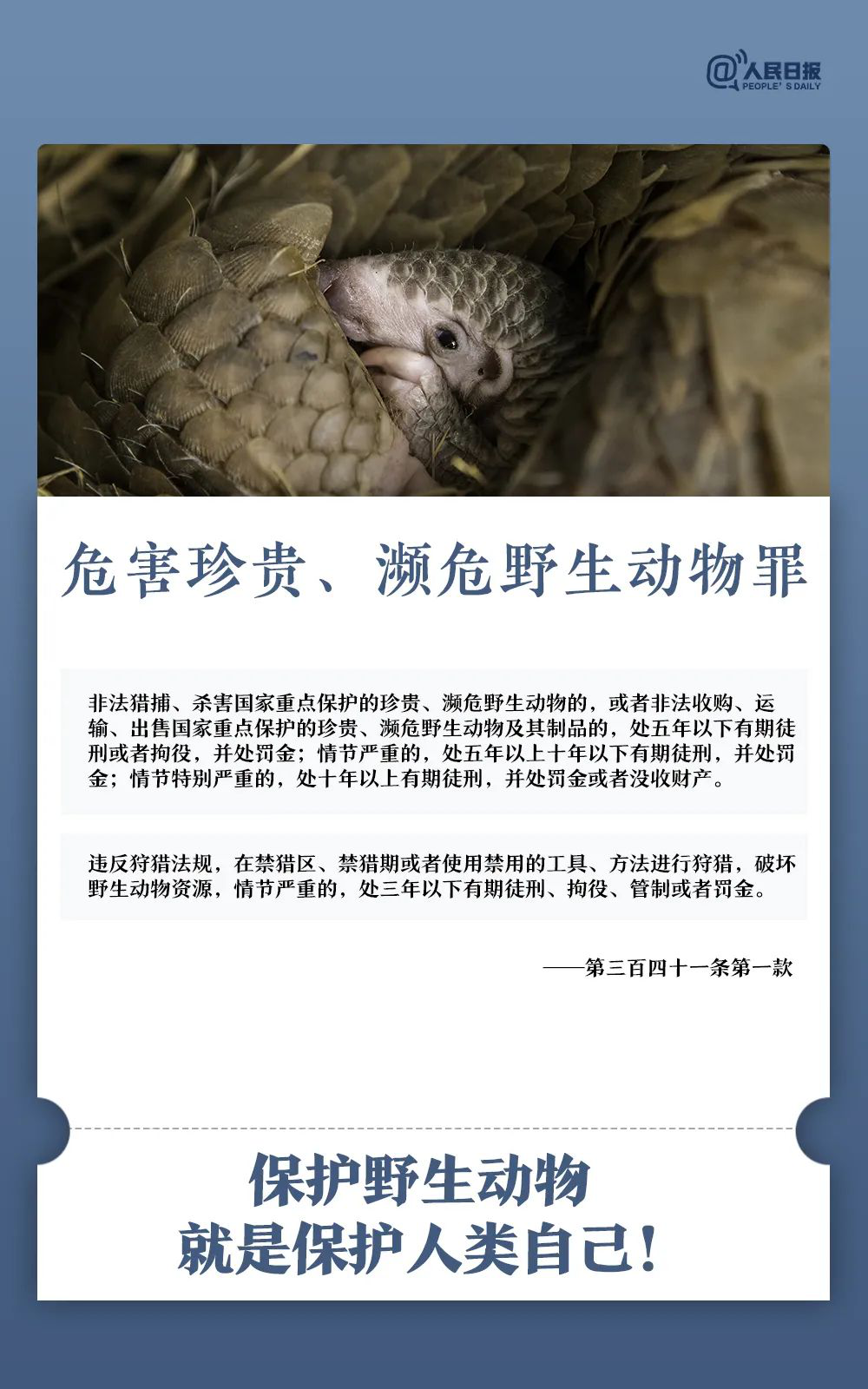 微信图片_2026-01-26_103046_643