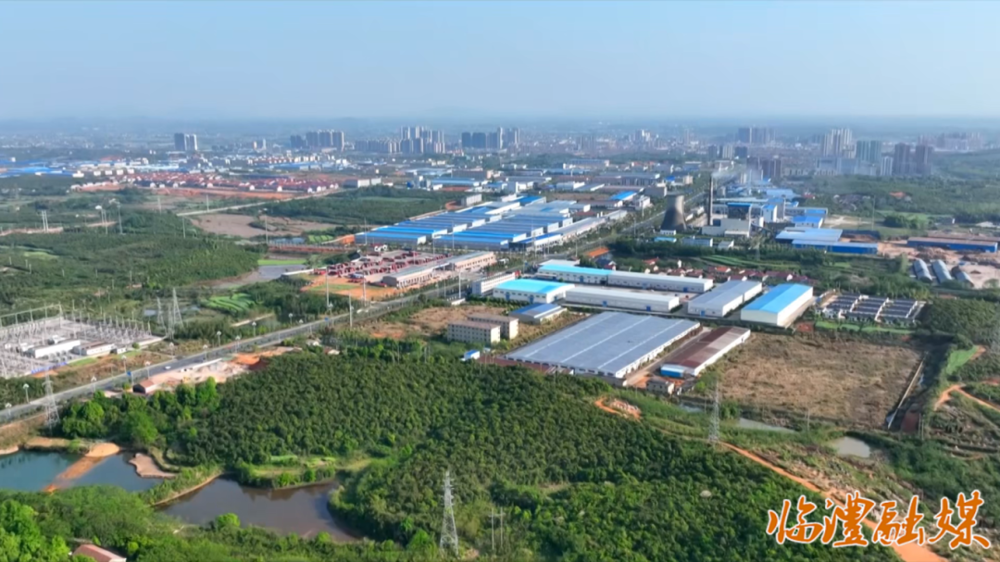 微信图片_2026-01-29_095242_349