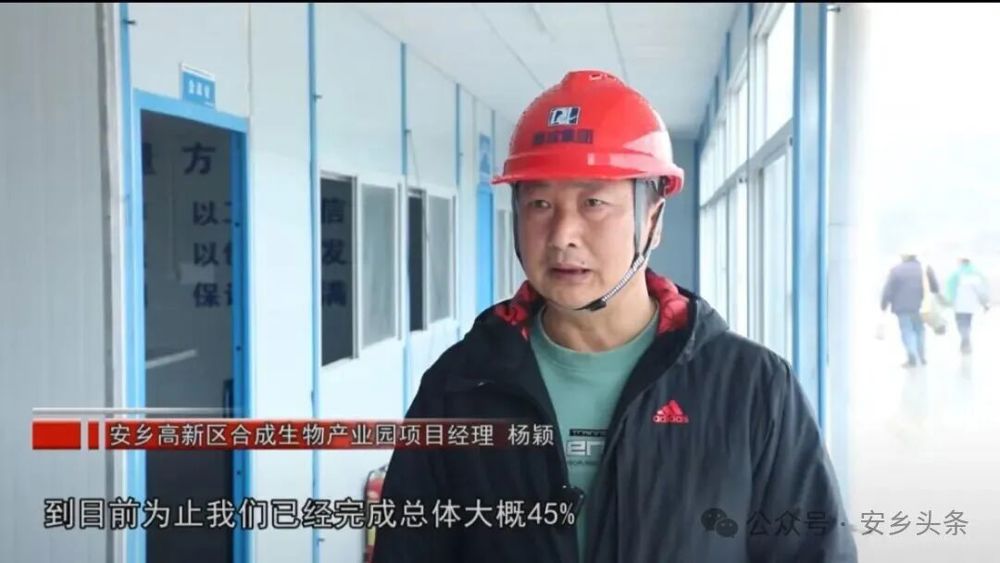 安乡高新区合成生物产业园项目经理杨颖 安乡高新区合成生物产业园项目经理杨颖