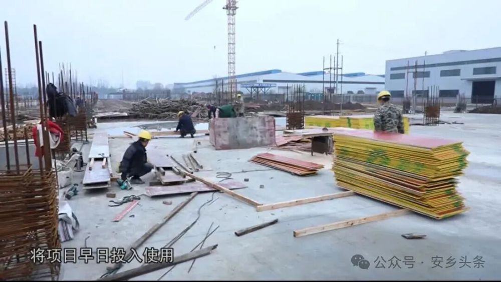 微信图片_2026-03-30_162851_100