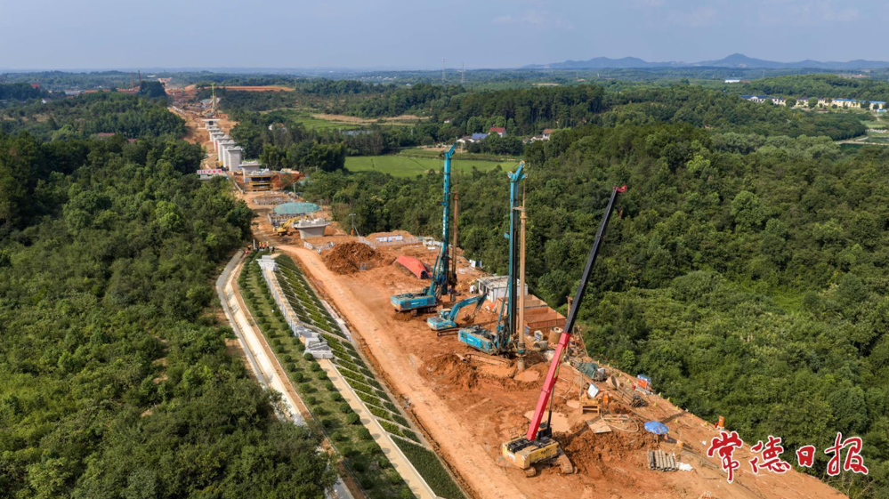 95号路基边坡“乔灌草”绿意盎然